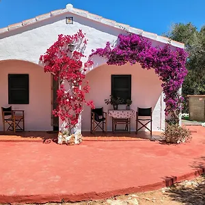 Vinya Alice Hébergement de vacances